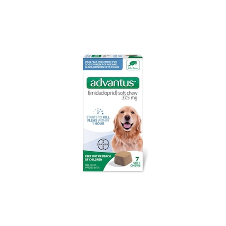Elanco Us Advantus Soft Chew Flea Treatment for Dogs 23-110-Lbs. 7 Doses 85274414