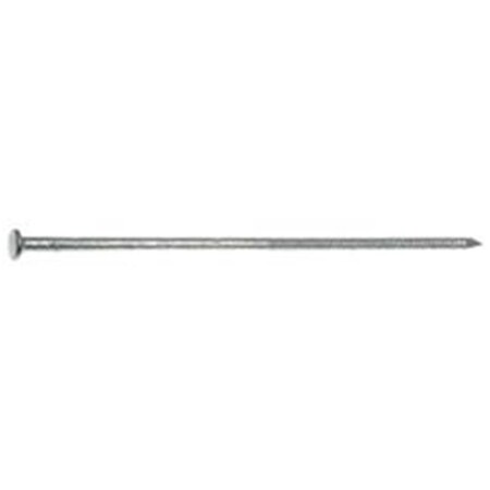 Acorn Mfg 20D Foundry Nail, 50 lbs CY20L