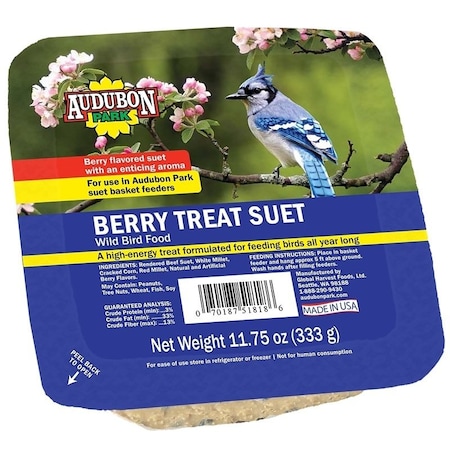 Audubon Park Berry Treat Suet 11.7 5oz 13066