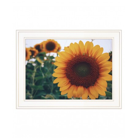 Homeroots Midwest Livin II 2 White Framed Print Wall Art 407616