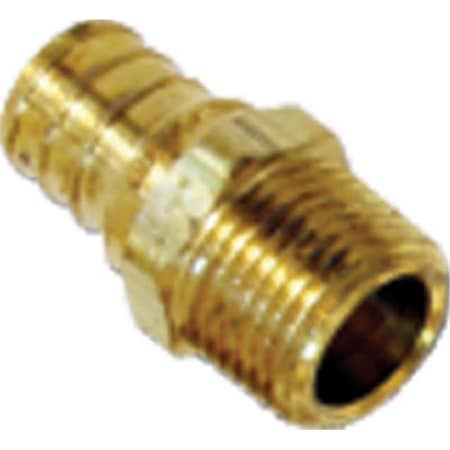 Homestead 0.75 x 0.75 in. Brass Male Pipe Thread, 10PK HO844356