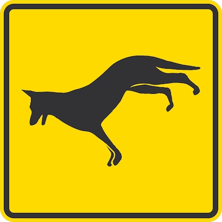 Lyle Dog Symbol, 30x30, Diamond Grade, Yellow G-14923-DG_30x30