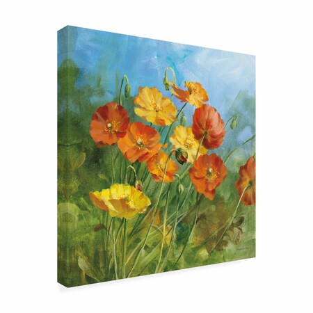Trademark Fine Art Outdoor Canvas Art Danhui Nai 'Summer Field IV' Wall Art for Patios, or Gardens WAP33560-OC1414WR