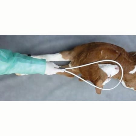 Jorgensen Laboratories HEAD Hunter Calving Snare J1368