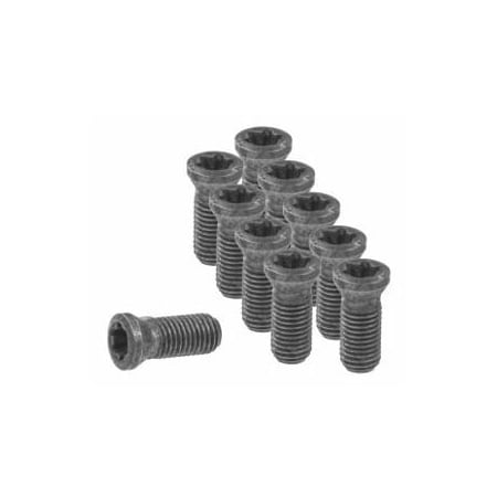 Garant Set of Insert Screws, 10 Pieces 219869