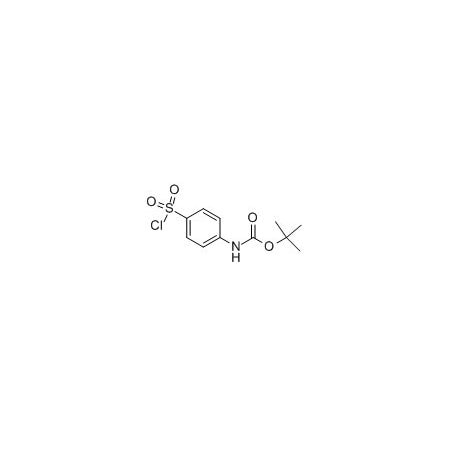 Ak Scientific tert-Butyl (4-(chlorosulfonyl)phenyl)carbamate (1g), CAS 269747-25-3 W5013-1g
