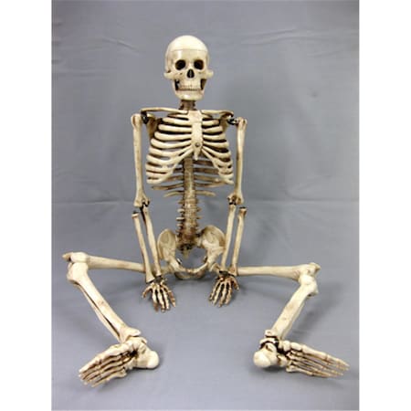 Toys4.0 Aged 33.5 in. Harvey Jr. Skeleton TO125180
