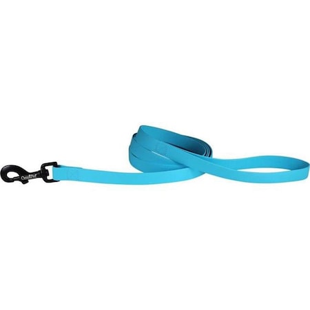 Tandy Leather Factory Leather Brothers  0.75 in. x 6 ft. Carnival Biothane Dog Lead, Light Blue 19148-LBL