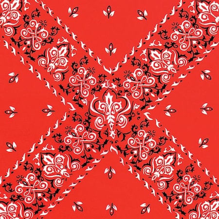 Nashville Wraps Red Bandana Tissue Paper, 20x30, 240PK P760B