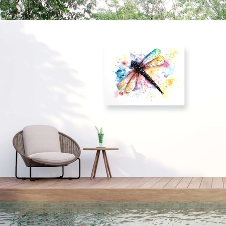 Trademark Fine Art Outdoor Canvas Art Lisa Whitehouse 'Dragonfly' Wall Art for Patios, or Gardens GRL00739-OC1824WR