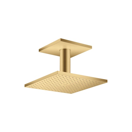 Axor ShowerSolutions Showerhead 250 Square 2-Jet Ceiling Connection, 1.75 GPM in Brushed Gold Optic 35319251