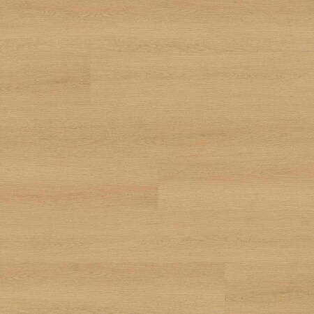 Msi Sample Xl Studio Roswell 8Waterproof Rigid Core Luxury Vinyl Plank Flooring ZOR-LVR-XL-0252-SAM