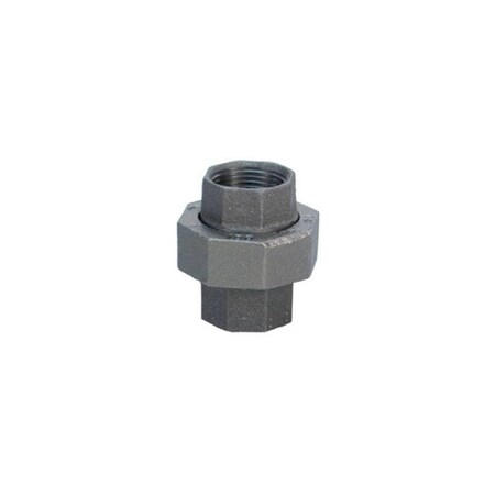 Anvil Union 1-1/2in FPT X 1-1/2in D FPT Black Malleable Iron Black 8700163150