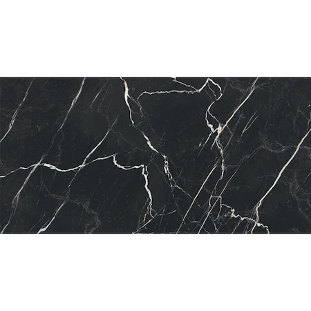 Apollo Tile Regalia 24x48 in. Nero Black Matte Porcelain Marble-look Vein Large Tile (15.5 sq ft/case) 2PK APLVEL88NER2448