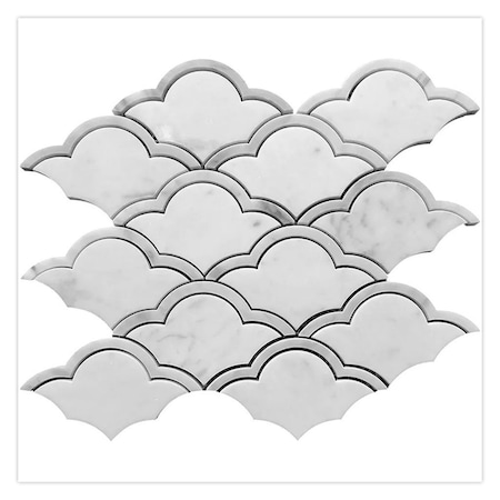 Apollo Tile 9x10 Polished Bianco Carrara Marble, Scalloped Wall and Floor Tile 3.06 sq ft/case, 5PK APLTRL8827A