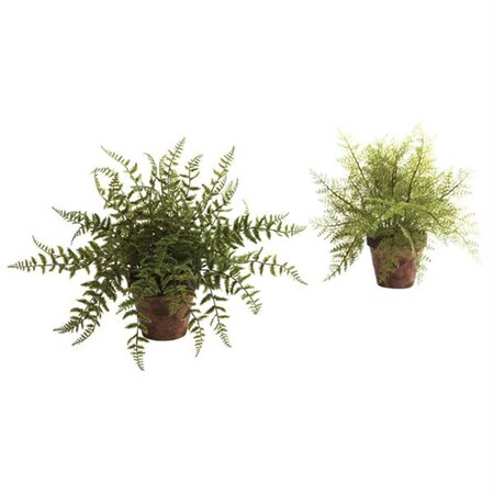 Dare2Decor Fern with Decorative Planter, 2PK DA416516