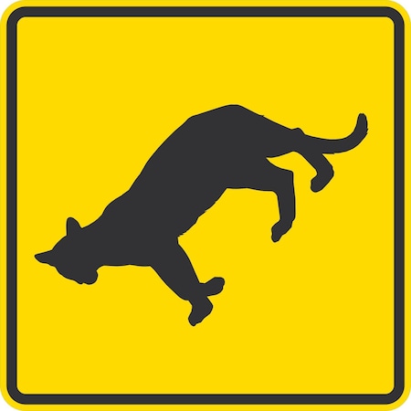 Lyle Cougar Crossing, 24x24, Non-Reflective, Yellow G-13354-NA_24x24