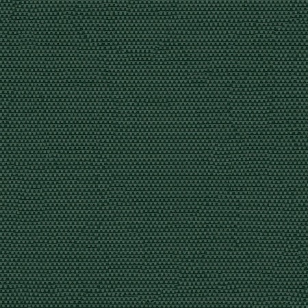 Phifertex Holly Green, Knitted Mesh, 1 Yard L, 54 in W PHIFEP3007154
