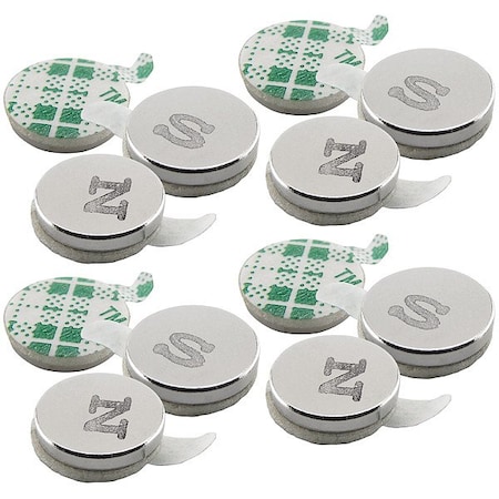 Zoro Select Rare Earth Magnet, Silver, White 07526