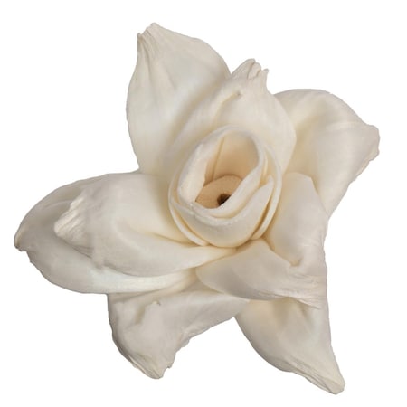 Vickerman 1-3 in. Assorted Jonquil Sola Head Artificial Flowers, Natural, 24PK H7SFL002