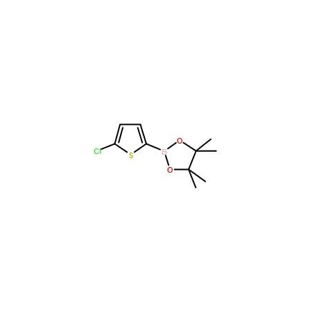 Ak Scientific 5-Chlorothiophene-2-boronic acid pinacol ester (1g), CAS 635305-24-7 X0913-1g