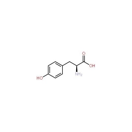 Ak Scientific L-Tyrosine (500g), CAS 60-18-4 C874-500g