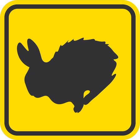 Lyle Rabbit Graphic, 12x12, Engineer Grade, Yellow G-2007-EG_12x12