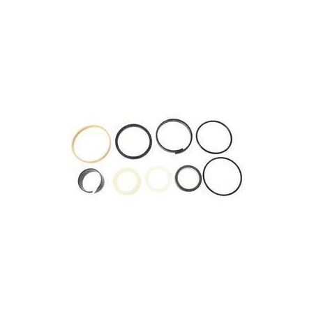 Case REPLACEMENT SEAL KIT, SWING CYLINDER 1543256C1