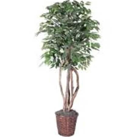 Dare2Decor Frosted Maple Executive Everyday Tree in Plastic Container - 6 ft. DA2503267