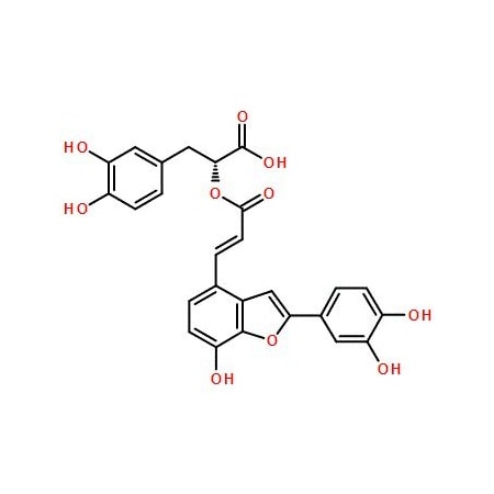 Ak Scientific Salvianolic acid C (5mg), CAS 115841-09-3 X1225-5mg