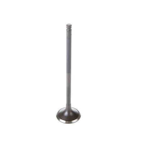 Melling Engine Exhaust Valve, V5542