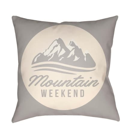 Artistic Weavers Lodge Cabin Alp Poly Filled Pillow - Light Gray & Beige - 20 x 20 in. LGCB2049-2020