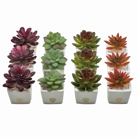 Jt Eaton ZendoZones Fruit Fly Traps, 12 Assorted with White Base 1818B-VAN