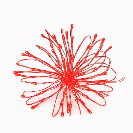 Elegani 100 LED Silver Copper Fairy String Lights - 33ft Plug-In with 4 in. Spacing, Flexible Wire, Indoor PH-600107