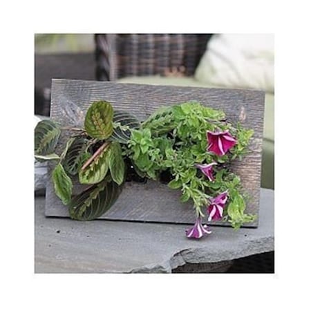 Gan Eden Mini Frame, Grey GA2531897