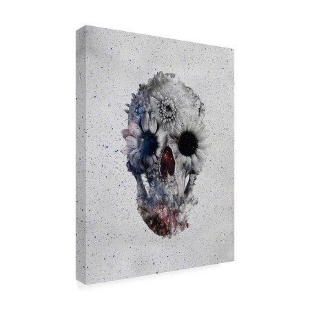 Trademark Fine Art Outdoor Canvas Art - Ali Gulec 'Floral Skull' Wall Art for Patios, or Gardens GRL01276-OC2432WR