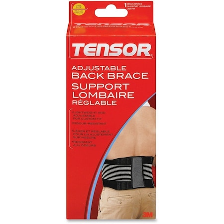 Ace Back Brace, One Size, Adjustable, PK12 207744