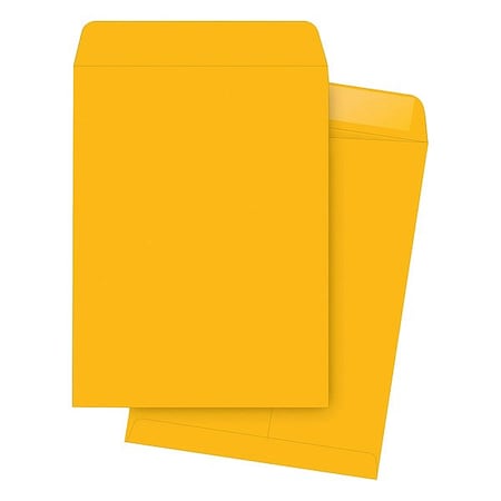 Business Source Catalog Envelope, Brown, Kraft, PK250 BSN42114