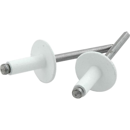 Allstar Performance Large Head Rivet, White, 250PK ALL18156