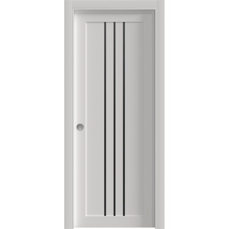 Sartodoors Sliding Pocket Door 36 x 96 inches, BASIC 4906 White with Black Glass, Kit Rail Hardware, Solid W BASIC4906PD-WS-3696