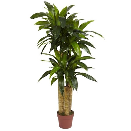 Dare2Decor Silk  4 ft. Corn Stalk Dracaena Silk Plant - Real Touch - DA803907
