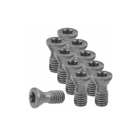 Garant Set of Insert Screws, 10 Pieces 219800