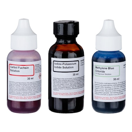 Amscope Simple Stain Kit of Three Chemicals for Preparing Microscope Slides SK-3E