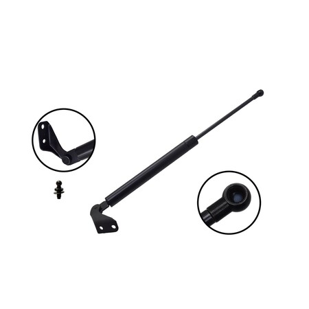 Fcs Struts Liftgate Lift Support 80022L