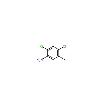 Ak Scientific 2, 4-Dichloro-5-methylaniline (25g), CAS 17601-75-1 9221AA-25g