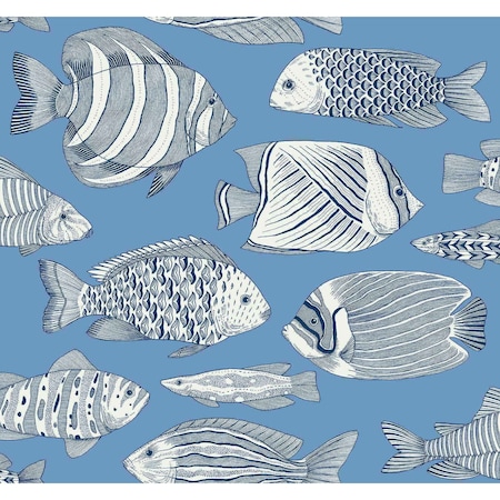 A-Street Prints Wailea Sky Blue Tropical School Wallpaper 2927-80212