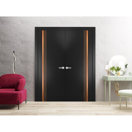Sartodoors Solid French Double Doors Planum 1010 Black 48x80 (2* 24x80) Solid Core Modern Interior PLANUM1010DD-BLK-48