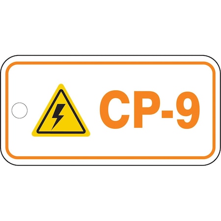 Accuform Energy Source ID Tag, CP-9, 1.5inx3in, Plastic, 5PK TDF209VPM