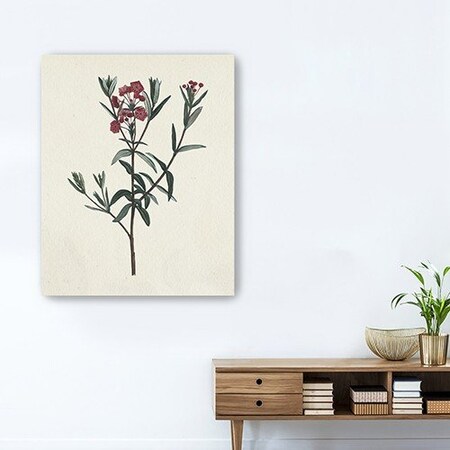 Homeroots Singular Red Blossom Branch Unframed Print Wall Art 399057