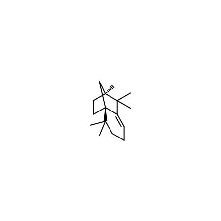 Ak Scientific (−)-Isolongifolene (1mL), CAS 1135-66-6 9743AJ-1mL